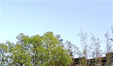 公示！15处煤矿达安全生产标准化管理体系