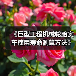 《巨型工程机械轮胎实车使用寿命测算方法》标准发布（图1）