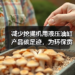 减少挖掘机用液压油缸产品碳足迹,为环保贡献一份力(图1) 减少挖掘机用液压油缸产品碳足迹,为环保贡献一份力(图1)