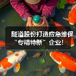 隧道股份打造应急维保“专精特新”企业！（图4）