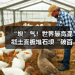 “坝”气!世界最高混凝土面板堆石坝“破百”(图1) “坝”气!世界最高混凝土面板堆石坝“破百”(图1)