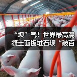 “坝”气!世界最高混凝土面板堆石坝“破百”(图3) “坝”气!世界最高混凝土面板堆石坝“破百”(图3)