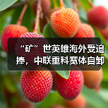 “矿”世英雄海外受追捧,中联重科宽体自卸车批量交付沙特(图2) “矿”世英雄海外受追捧,中联重科宽体自卸车批量交付沙特(图2)