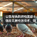 公路与铁路结构混凝土强度无损检测技术,确保工程质量与安全(图1) 公路与铁路结构混凝土强度无损检测技术,确保工程质量与安全(图1)
