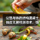 公路与铁路结构混凝土强度无损检测技术,确保工程质量与安全(图3) 公路与铁路结构混凝土强度无损检测技术,确保工程质量与安全(图3)