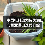 中国电科助力传统港口向智慧港口迭代升级（图2）