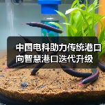 中国电科助力传统港口向智慧港口迭代升级（图3）