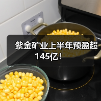紫金矿业上半年预盈超145亿！（图2）