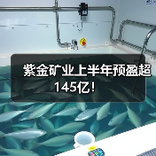 紫金矿业上半年预盈超145亿！（图3）