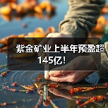 紫金矿业上半年预盈超145亿！（图4）