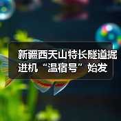 新疆西天山特长隧道掘进机“温宿号”始发(图2) 新疆西天山特长隧道掘进机“温宿号”始发(图2)