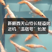 新疆西天山特长隧道掘进机“温宿号”始发(图4) 新疆西天山特长隧道掘进机“温宿号”始发(图4)