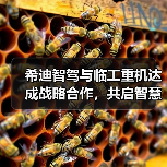 希迪智驾与临工重机达成战略合作，共启智慧矿山建设新纪元（图1）