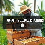 重磅！弗迪电池入股国企（图3）