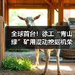全球首台！徐工“青山绿”矿用混动挖掘机荣耀下线（图1）
