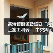 高端智能装备造就“海上施工利器” 中交集团擦亮品牌名片（图3）