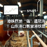港铁巨龙“链”通陆海！山东港口智慧港铁建设硕果累累（图4）