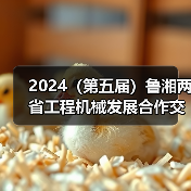 2024（第五届）鲁湘两省工程机械发展合作交流大会成功举办（图4）