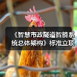 《智慧市政隧道智能系统总体架构》标准立项获批（图1）