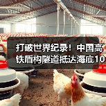 打破世界纪录！中国高铁盾构隧道抵达海底106米（图4）