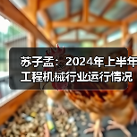 苏子孟：2024年上半年工程机械行业运行情况（图3）