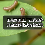 玉柴泰国工厂正式投产 开启全球化战略新纪元（图1）