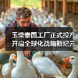 玉柴泰国工厂正式投产 开启全球化战略新纪元（图4）