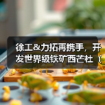徐工&力拓再携手，开发世界级铁矿西芒杜（Simandou）（图4）