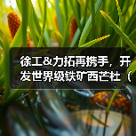 徐工&力拓再携手，开发世界级铁矿西芒杜（Simandou）（图2）