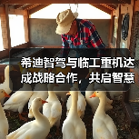 希迪智驾与临工重机达成战略合作，共启智慧矿山建设新纪元（图4）
