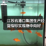 江苏省港口集团生产经营指标实现稳中向好（图4）