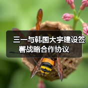 三一与韩国大宇建设签署战略合作协议（图4）