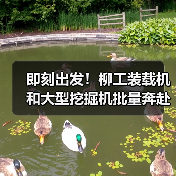 即刻出发！柳工装载机和大型挖掘机批量奔赴西藏（图1）