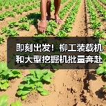 即刻出发！柳工装载机和大型挖掘机批量奔赴西藏（图4）