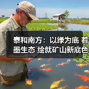 泰和南方：以绿为底 着墨生态 绘就矿山新底色（图3）