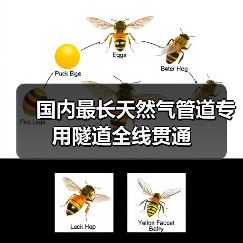 国内最长天然气管道专用隧道全线贯通（图3）