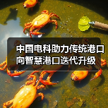 中国电科助力传统港口向智慧港口迭代升级（图1）