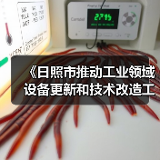 《日照市推动工业领域设备更新和技术改造工作方案》发布（图3）