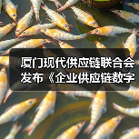 厦门现代供应链联合会发布《企业供应链数字化水平评估规范》（图3）