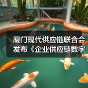 厦门现代供应链联合会发布《企业供应链数字化水平评估规范》（图4）