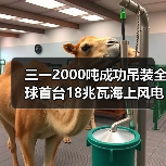三一2000吨成功吊装全球首台18兆瓦海上风电机组（图4）
