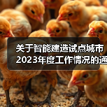 关于智能建造试点城市2023年度工作情况的通报（图3）