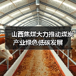 山西焦煤大力推动煤炭产业绿色低碳发展（图3）