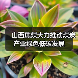 山西焦煤大力推动煤炭产业绿色低碳发展（图4）