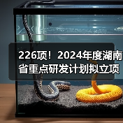 226项！2024年度湖南省重点研发计划拟立项项目公布（图3）