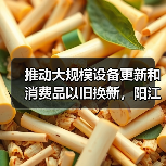 推动大规模设备更新和消费品以旧换新，阳江市发布实施方案（图1）