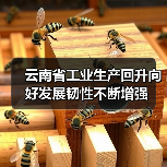 云南省工业生产回升向好发展韧性不断增强（图2）