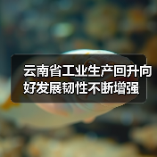 云南省工业生产回升向好发展韧性不断增强（图4）