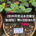 《软件开发成本度量实施规程》等6项标准6月7日实施（图1）