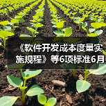 《软件开发成本度量实施规程》等6项标准6月7日实施（图3）
